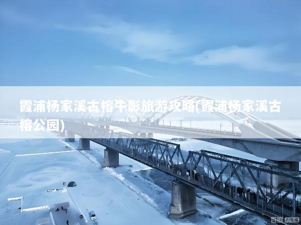霞浦杨家溪古榕牛影旅游攻略(霞浦杨家溪古榕公园)