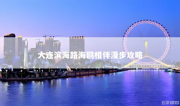 大连滨海路海鸥相伴漫步攻略