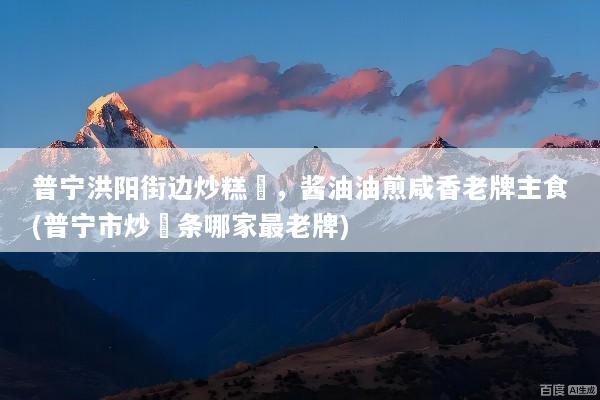 普宁洪阳街边炒糕粿，酱油油煎咸香老牌主食(普宁市炒粿条哪家最老牌)