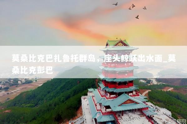 莫桑比克巴扎鲁托群岛，座头鲸跃出水面_莫桑比克彭巴