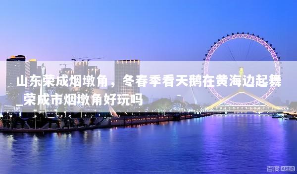 山东荣成烟墩角，冬春季看天鹅在黄海边起舞_荣成市烟墩角好玩吗