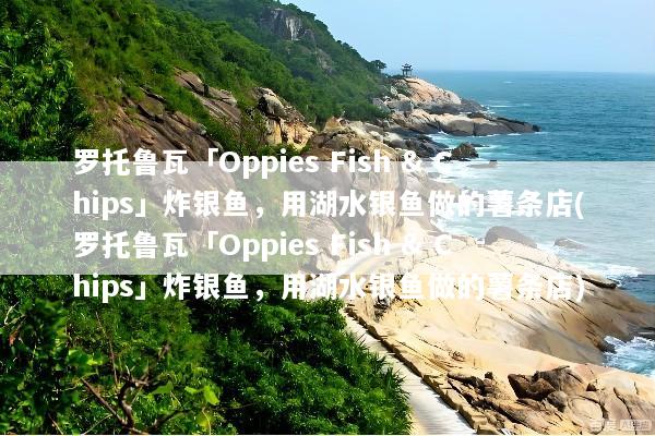 罗托鲁瓦「Oppies Fish & Chips」炸银鱼，用湖水银鱼做的薯条店(罗托鲁瓦「Oppies Fish & Chips」炸银鱼，用湖水银鱼做的薯条店)