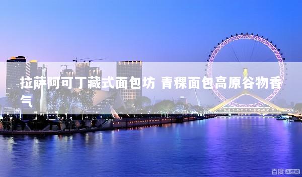 拉萨阿可丁藏式面包坊 青稞面包高原谷物香气