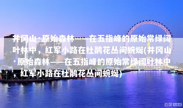 井冈山·原始森林——在五指峰的原始常绿阔叶林中，红军小路在杜鹃花丛间蜿蜒(井冈山·原始森林——在五指峰的原始常绿阔叶林中，红军小路在杜鹃花丛间蜿蜒)
