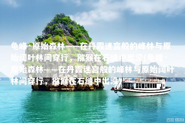 龟峰·原始森林——在丹霞迷宫般的峰林与原始阔叶林间穿行，猕猴在石缝中出没(龟峰·原始森林——在丹霞迷宫般的峰林与原始阔叶林间穿行，猕猴在石缝中出没)