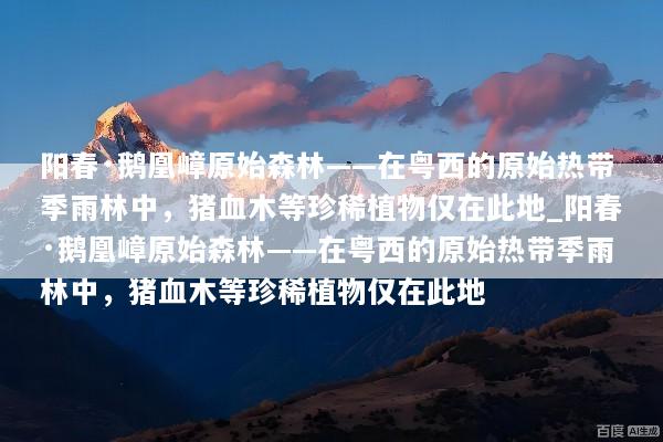 阳春·鹅凰嶂原始森林——在粤西的原始热带季雨林中，猪血木等珍稀植物仅在此地_阳春·鹅凰嶂原始森林——在粤西的原始热带季雨林中，猪血木等珍稀植物仅在此地