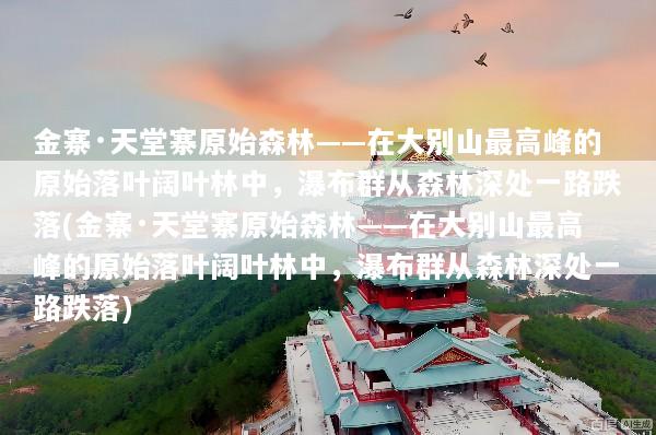 金寨·天堂寨原始森林——在大别山最高峰的原始落叶阔叶林中，瀑布群从森林深处一路跌落(金寨·天堂寨原始森林——在大别山最高峰的原始落叶阔叶林中，瀑布群从森林深处一路跌落)