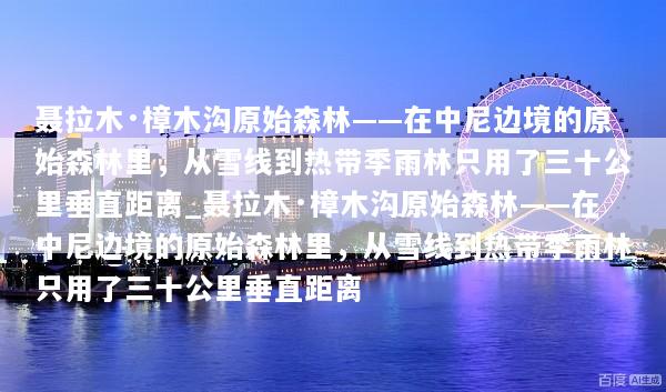 聂拉木·樟木沟原始森林——在中尼边境的原始森林里，从雪线到热带季雨林只用了三十公里垂直距离_聂拉木·樟木沟原始森林——在中尼边境的原始森林里，从雪线到热带季雨林只用了三十公里垂直距离