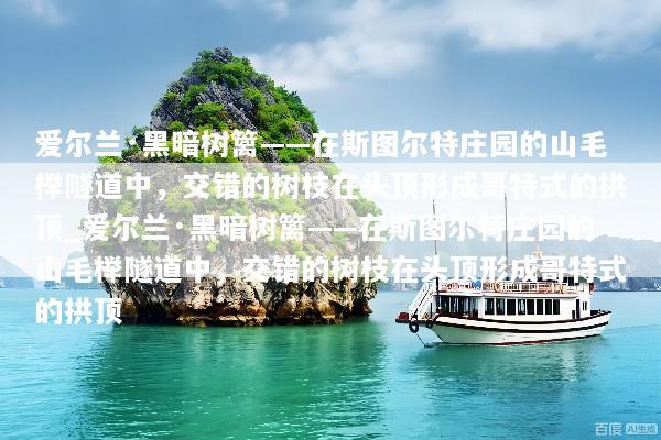 爱尔兰·黑暗树篱——在斯图尔特庄园的山毛榉隧道中，交错的树枝在头顶形成哥特式的拱顶_爱尔兰·黑暗树篱——在斯图尔特庄园的山毛榉隧道中，交错的树枝在头顶形成哥特式的拱顶