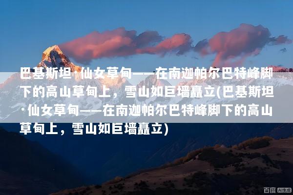 巴基斯坦·仙女草甸——在南迦帕尔巴特峰脚下的高山草甸上，雪山如巨墙矗立(巴基斯坦·仙女草甸——在南迦帕尔巴特峰脚下的高山草甸上，雪山如巨墙矗立)