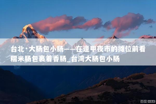 台北·大肠包小肠——在逢甲夜市的摊位前看糯米肠包裹着香肠_台湾大肠包小肠