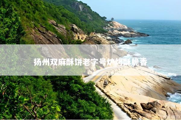 扬州双麻酥饼老字号炉烤酥脆香