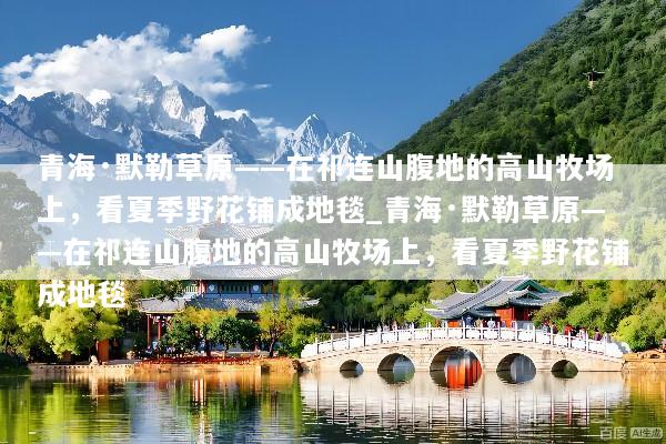 青海·默勒草原——在祁连山腹地的高山牧场上，看夏季野花铺成地毯_青海·默勒草原——在祁连山腹地的高山牧场上，看夏季野花铺成地毯
