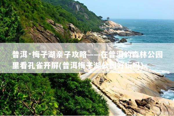 普洱·梅子湖亲子攻略——在普洱的森林公园里看孔雀开屏(普洱梅子湖公园好玩吗)