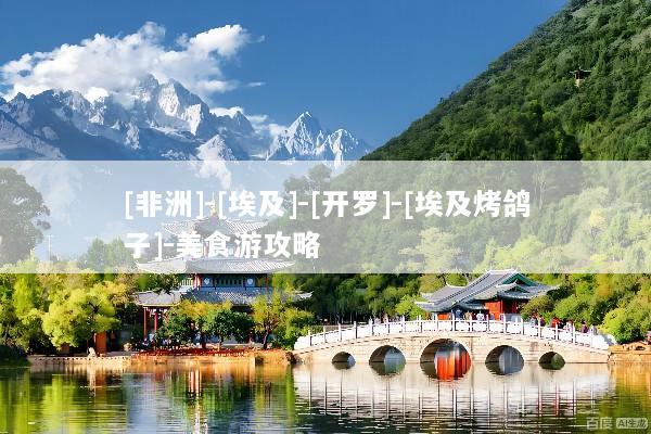 [非洲]-[埃及]-[开罗]-[埃及烤鸽子]-美食游攻略