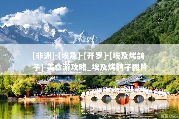 [非洲]-[埃及]-[开罗]-[埃及烤鸽子]-美食游攻略_埃及烤鸽子图片